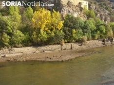 Foto 6 - Fotos: &iquest;Recuerdas el r&iacute;o Duero pr&aacute;cticamente seco a su paso por Soria?