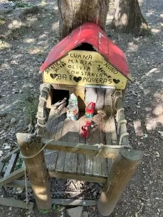 Foto 29 - Ruta: La ermita de los Santos Nuevos