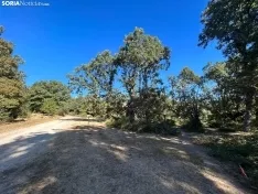 Foto 17 - Ruta: La ermita de los Santos Nuevos
