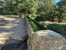 Foto 15 - Ruta: La ermita de los Santos Nuevos