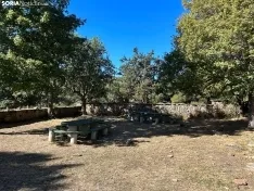 Foto 14 - Ruta: La ermita de los Santos Nuevos
