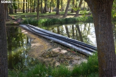 Pasarela caída sobre el río Duero. María Ferrer