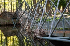 Pasarela caída sobre el río Duero. María Ferrer