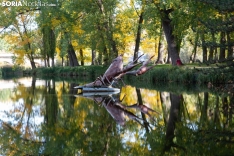 Pasarela caída sobre el río Duero. María Ferrer