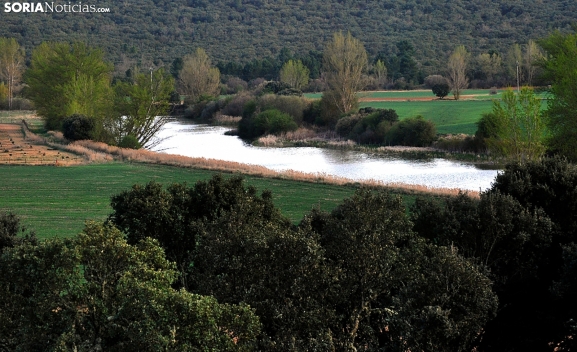 La Junta pide al Gobierno agilizar regadíos para 62.500 ha