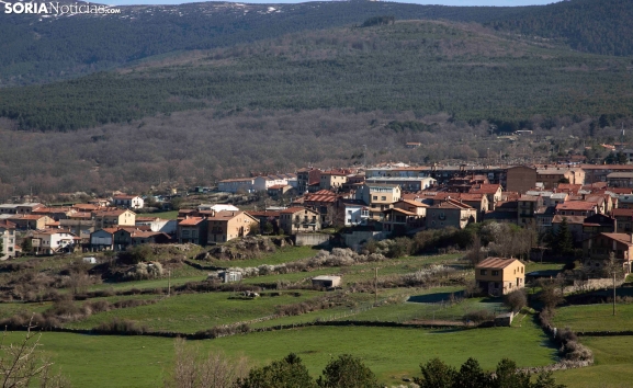 Unos 230 vecinos de Covaleda podrían perder la suerte de pinos en el próximo reparto