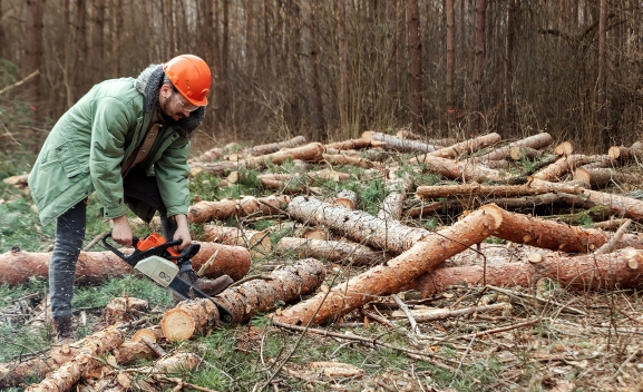 ASFOSO propone a la Junta incentivos fiscales por cuidar los montes