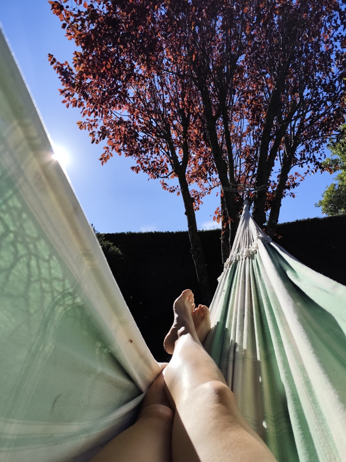 ASOVICA anuncia los ganadores del concurso de fotograf&iacute;a 2025