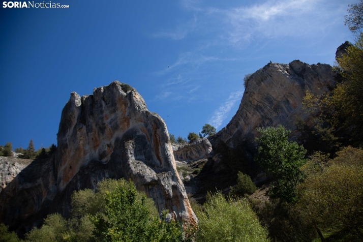 Bella y curiosa imagen del Cañón del río Lobos.