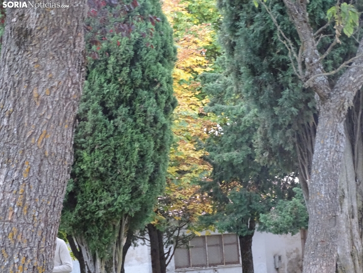 Una imagen de la tarde de este lunes. /PC