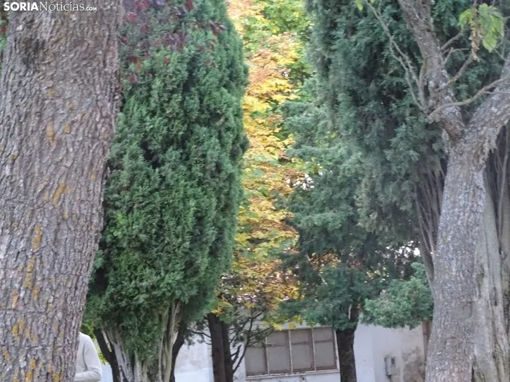 Una imagen de la tarde de este lunes. /PC