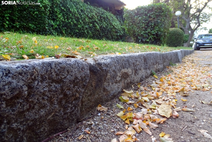 Una imagen de la tarde lúdica de este martes. /PC