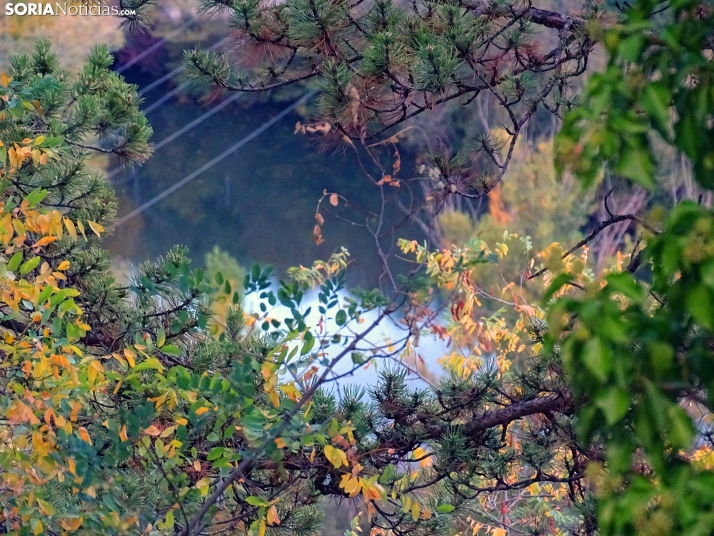 Una imagen de la tarde lúdica de este martes. /PC