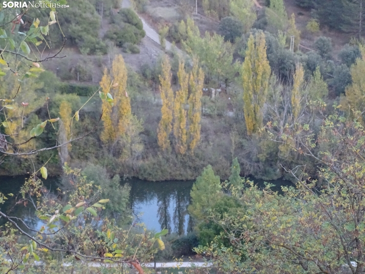 Una imagen de la tarde de este lunes. /PC