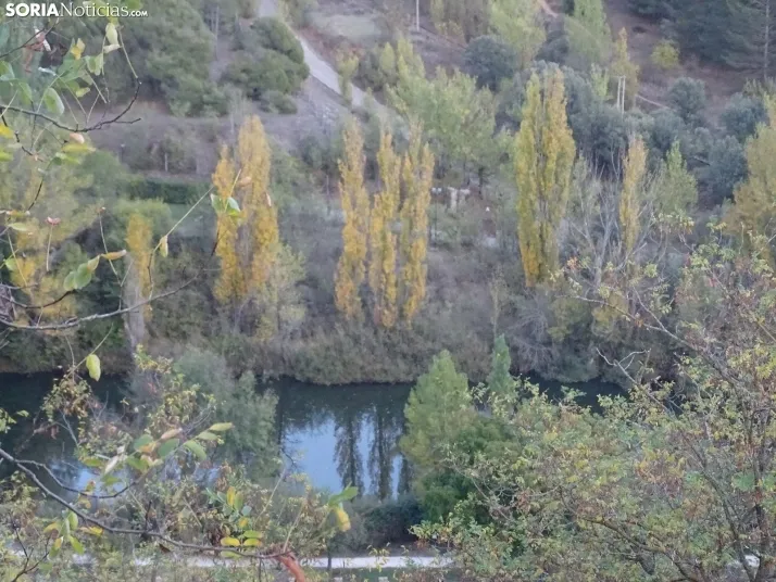 Una imagen de la tarde de este lunes. /PC