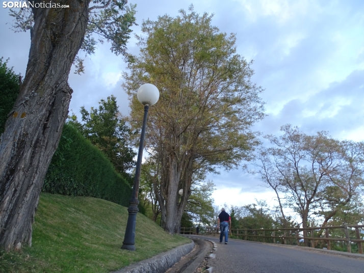 Una imagen de la tarde de este lunes. /PC