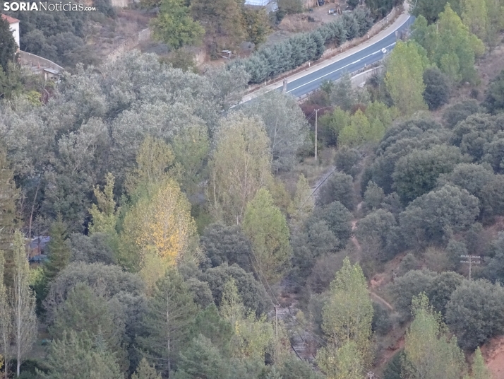 Una imagen de la tarde de este lunes. /PC