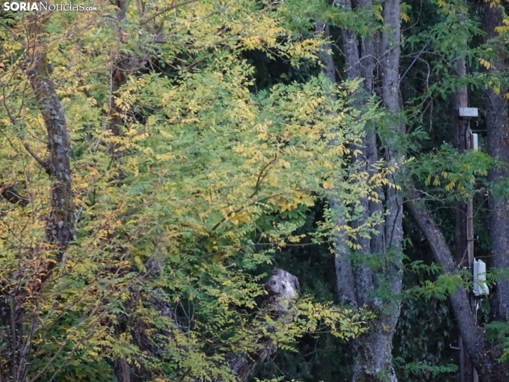 Una imagen de la tarde de este lunes. /PC