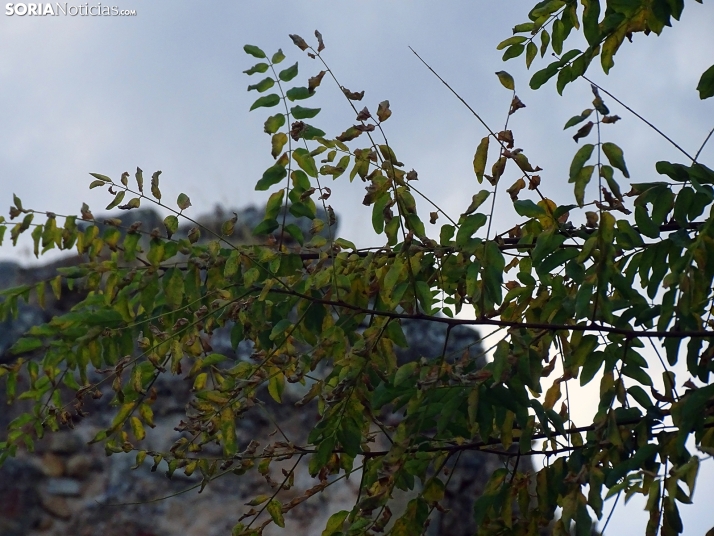 Una imagen de la tarde lúdica de este martes. /PC