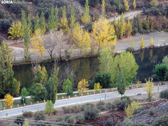 Una imagen de la tarde lúdica de este martes. /PC