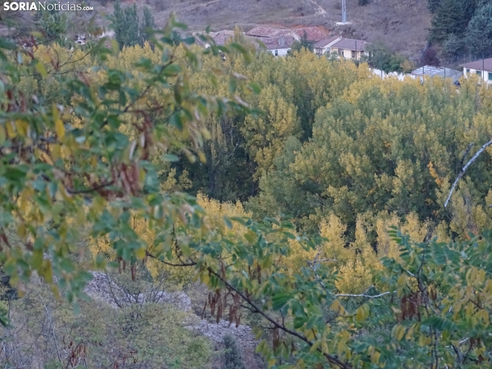 Una imagen de la tarde de este lunes. /PC