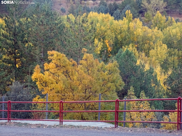 Una imagen de la tarde lúdica de este martes. /PC