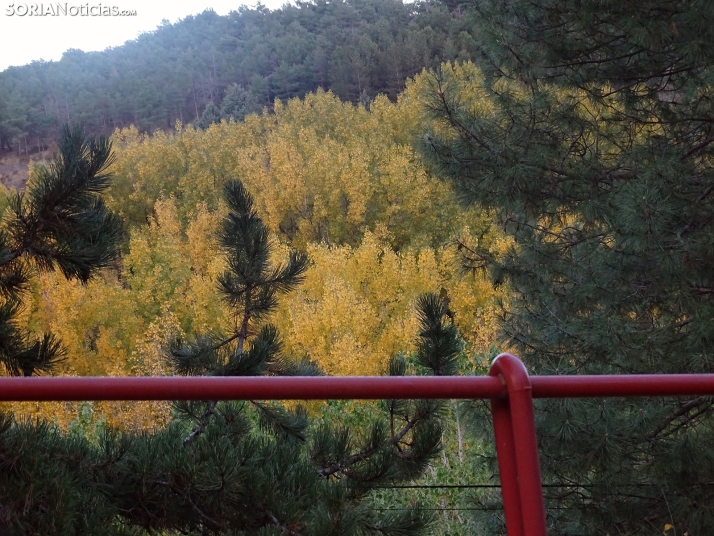 Una imagen de la tarde lúdica de este martes. /PC