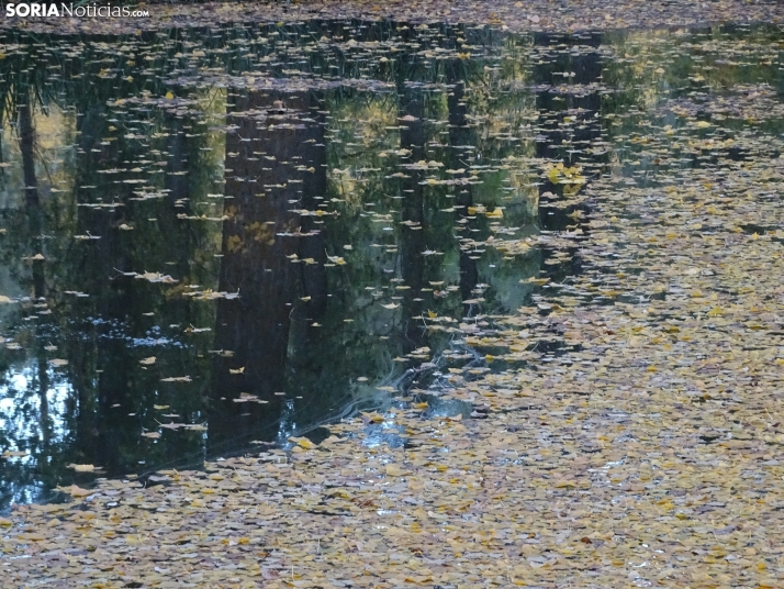 Una imagen de la tarde de este lunes. /PC