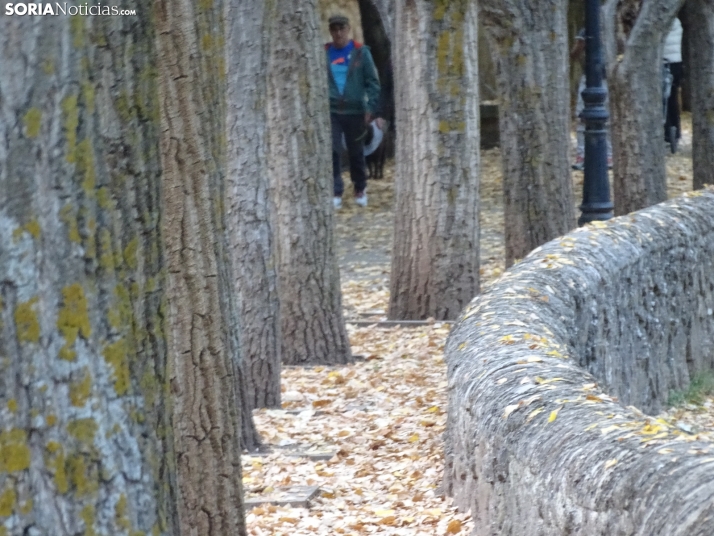 Una imagen de la tarde de este lunes. /PC