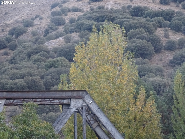 Una imagen de la tarde de este lunes. /PC