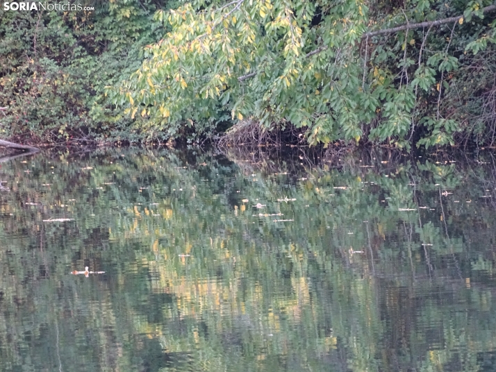 Una imagen de la tarde de este lunes. /PC