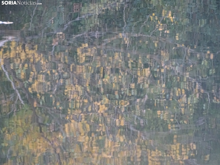 Una imagen de la tarde de este lunes. /PC