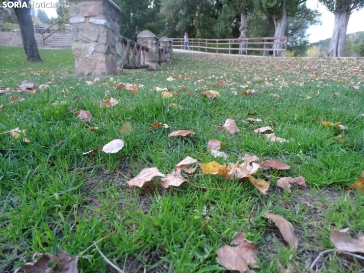 Una imagen de la tarde de este lunes. /PC