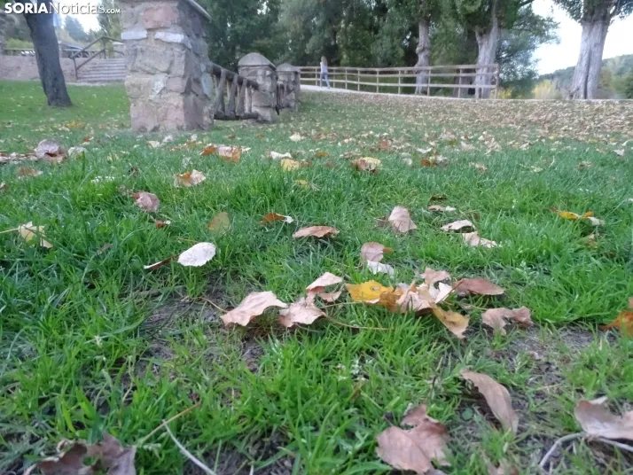 Una imagen de la tarde de este lunes. /PC