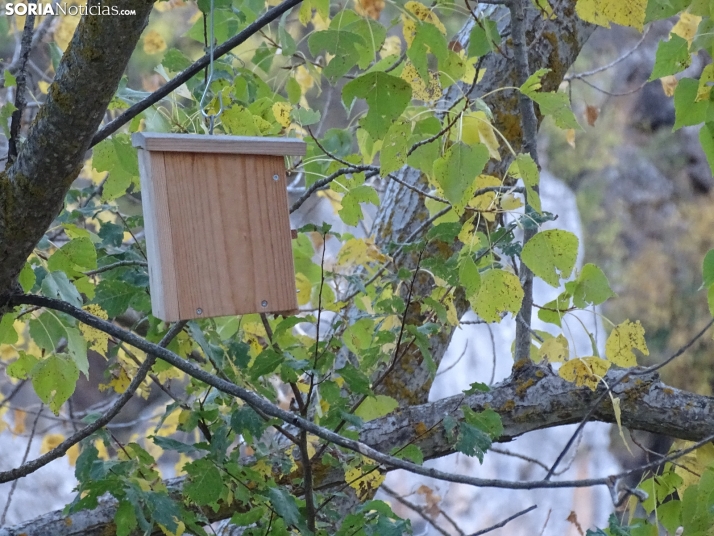 Una imagen de la tarde de este lunes. /PC