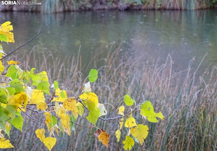 Una imagen de la tarde lúdica de este martes. /PC
