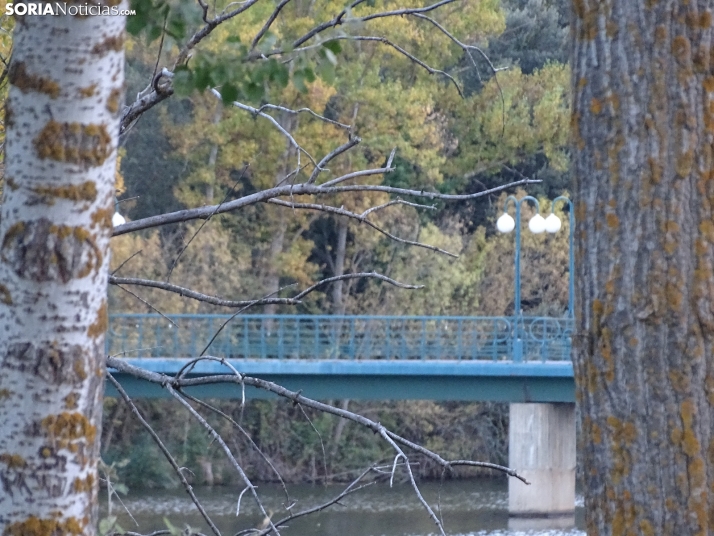 Una imagen de la tarde de este lunes. /PC