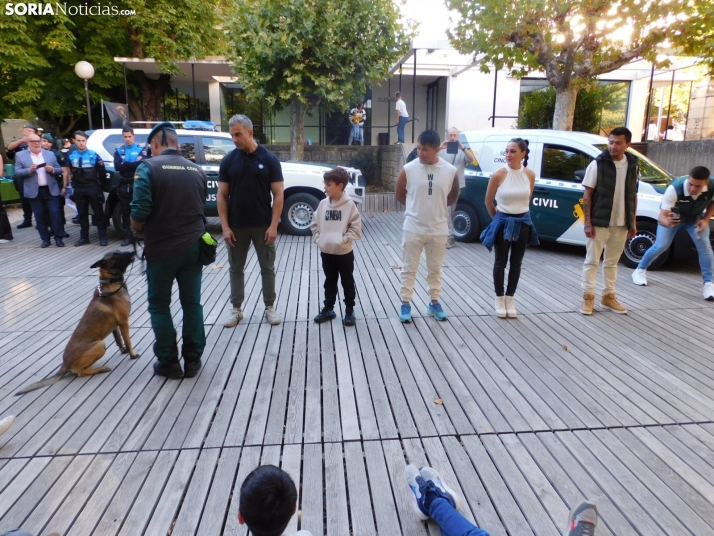 Exhibición de la Guardia Civil en Soria.
