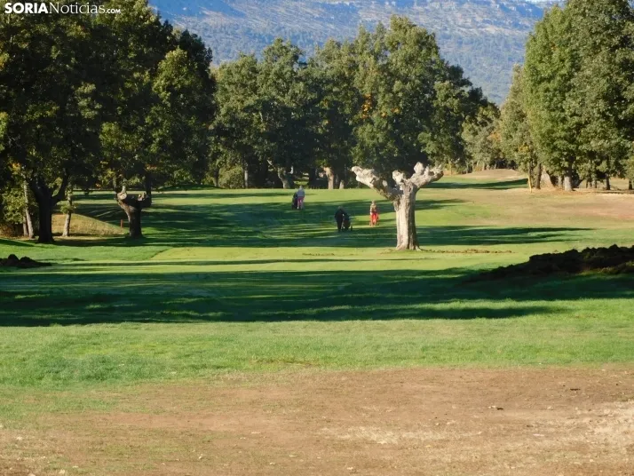 Fotos: Los golfistas de Soria ponen a prueba sus habilidades por el patr&oacute;n 
