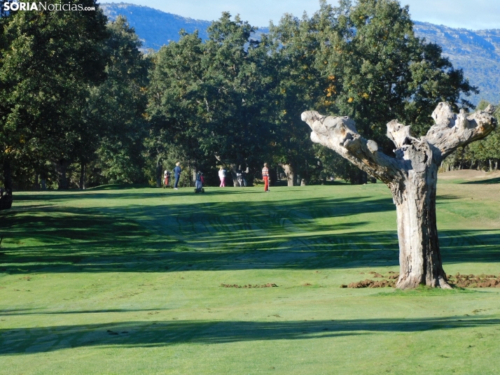 Fotos: Los golfistas de Soria ponen a prueba sus habilidades por el patr&oacute;n 