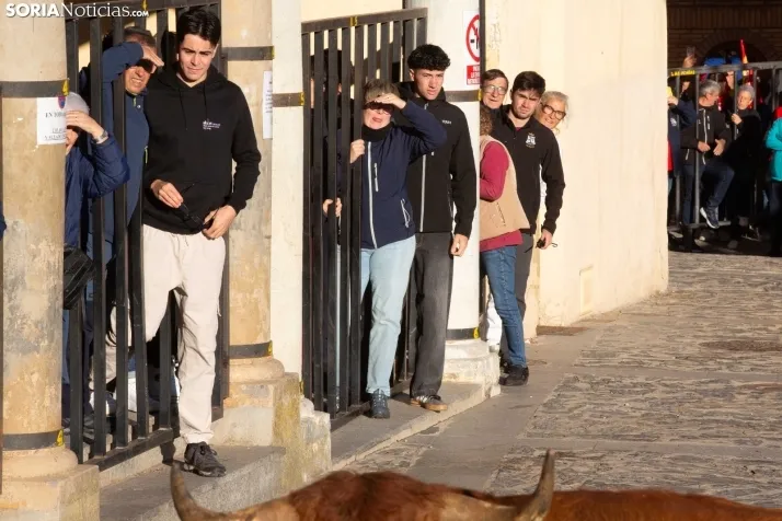 Encierro por San Miguel en Ágreda
