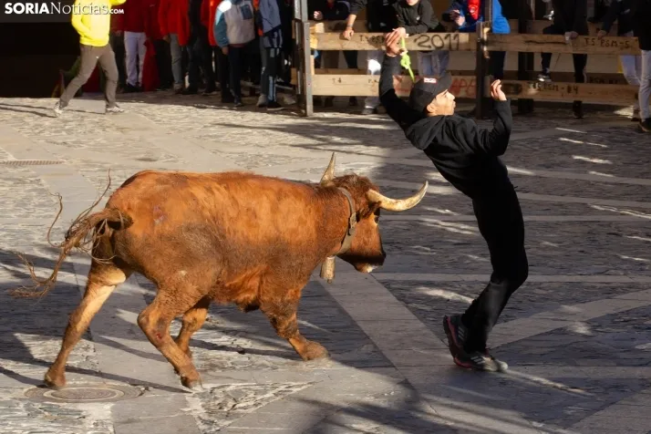 Encierro por San Miguel en Ágreda