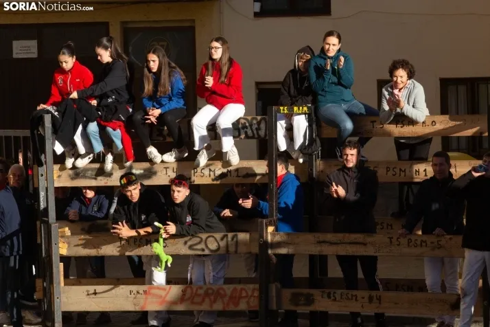 Encierro por San Miguel en Ágreda