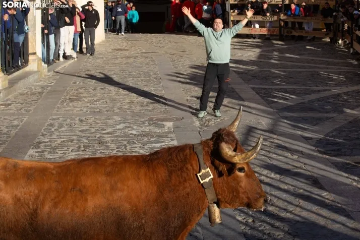Encierro por San Miguel en Ágreda
