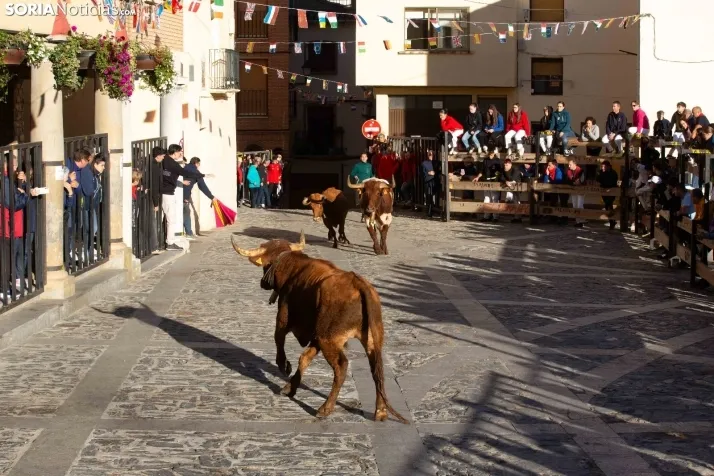 Encierro por San Miguel en Ágreda