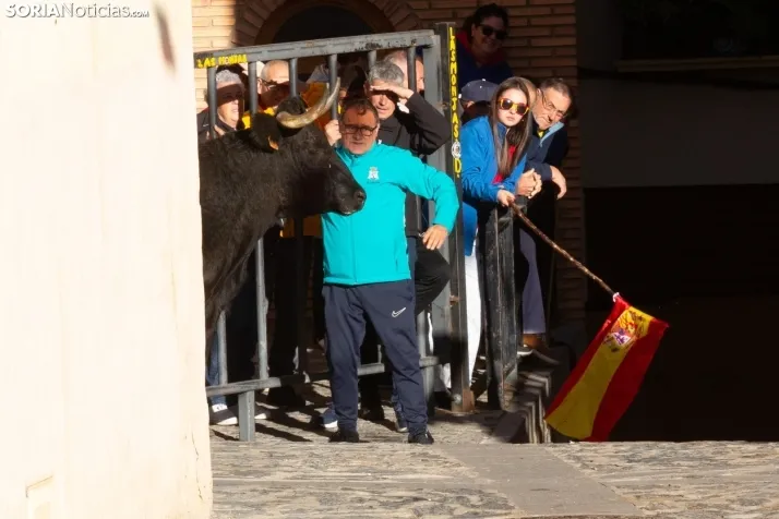 Encierro por San Miguel en Ágreda