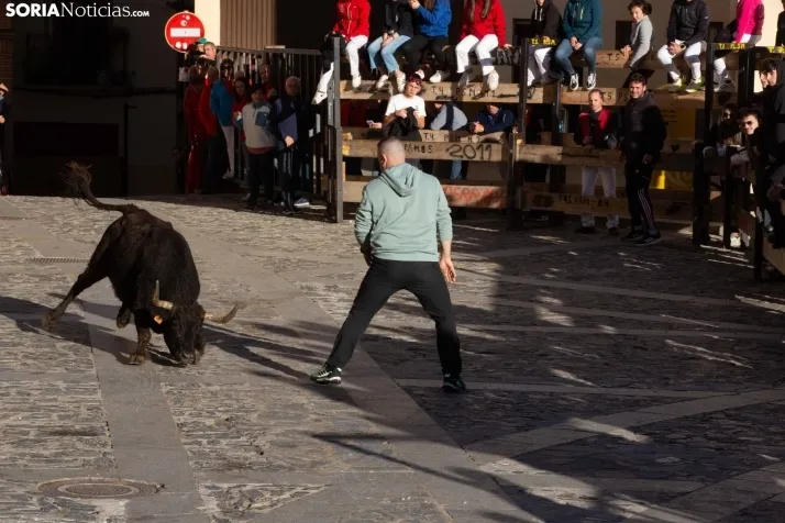 Encierro por San Miguel en Ágreda