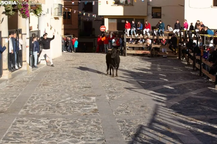 Encierro por San Miguel en Ágreda