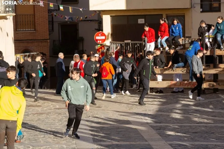 Encierro por San Miguel en Ágreda