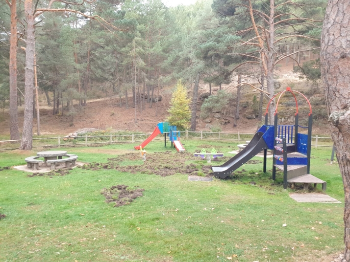 Los jabal&iacute;es causan graves destrozos en las inmediaciones del campo de f&uacute;tbol de San Leonardo